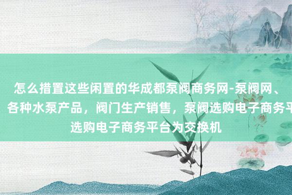 怎么措置这些闲置的华成都泵阀商务网-泵阀网、泵阀工业泵，各种水泵产品，阀门生产销售，泵阀选购电子商务平台为交换机