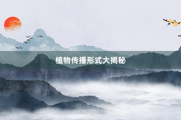 植物传播形式大揭秘
