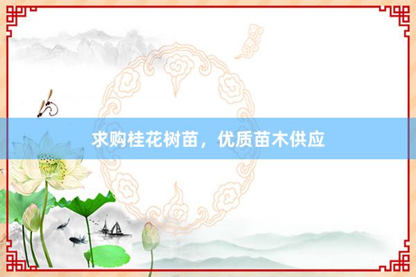 求购桂花树苗，优质苗木供应