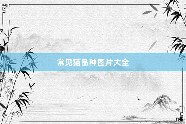 常见猫品种图片大全